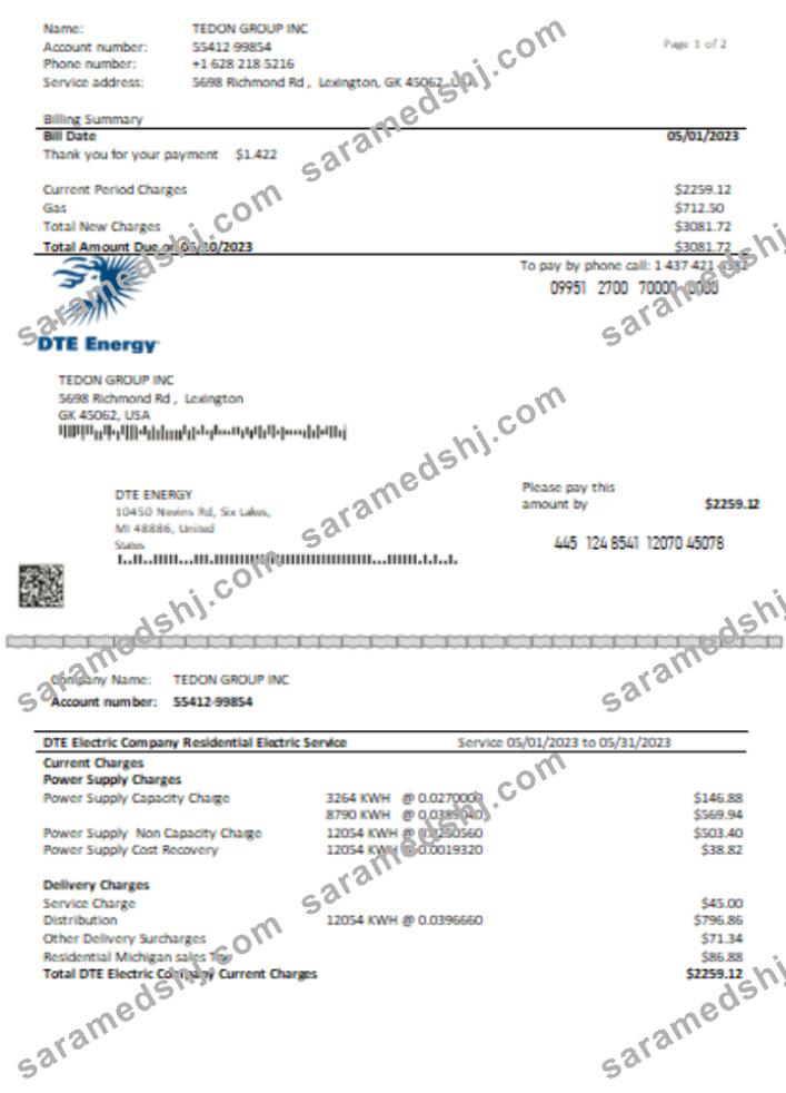 DTE Energy utility business bill SCR page 1